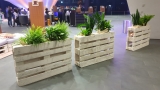 Pallet room divider with integrated planting