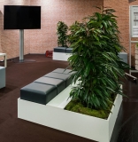 Green wall with integrated seating